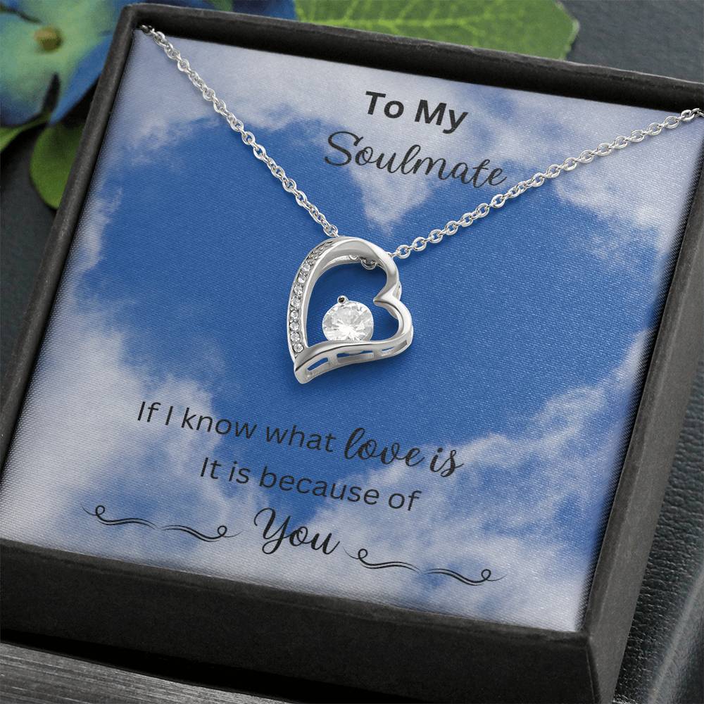 Revd Forever Love Necklace. Soulmate Gift, Mother's Day Gift, Wife Necklace, Mother's Day Gift From Husband, Mother's Day Gift From Spouse, Wife Birthday Gift, Just Because Gift to Wife, Birthday Gift, Anniversary Gift Title14k White Gold Finish